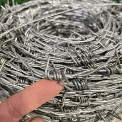 Galvanized Barbed Wire Mesh Stainless Steel Barb Wire Fence Roll